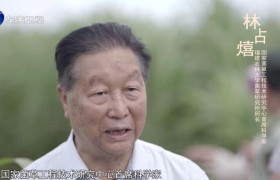 《山海情》黄觉饰演的凌一农原型人物是谁