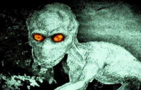 多佛恶魔之谜真相是什么是什生物是真的假的