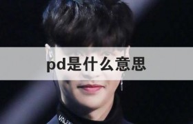 网络用语pd是什么意思什么梗出自哪里是什么含义