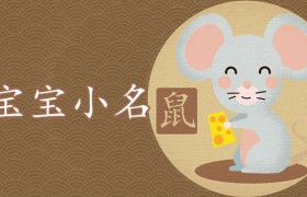 鼠年宝宝带米字的小名大全，鼠年出生的宝宝取什么名字好？