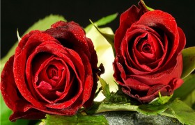 元宵节祝福短信大全，元宵节朋友圈说说文案大全
