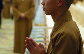 佛教居士法名法字辈有是哪些是哪48个字辈，怎么排辈论资？
