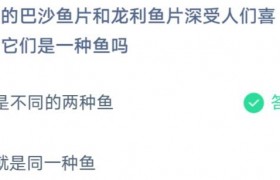无刺的巴沙鱼片和龙利鱼片是一种鱼吗？怎么区分分辨？