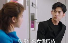 电视剧《你是我的城池营垒》女主米佧的好闺蜜阮青夏和陆风结局如何