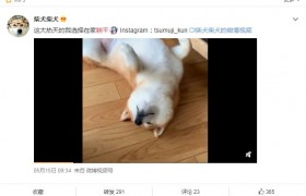 网络用语躺平是什么意思什么梗出自哪里有什么特别的含义吗