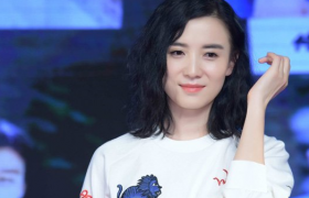 小宋佳两任老公是谁叫什么名字，小宋佳结婚了吗结过几次婚