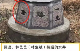 林生斌捐赠的井被打开被打开过吗？林生斌捐井寺庙方回应说了啥