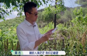 演员周杰结婚了吗老婆是谁？《五十公里桃花坞》周杰自爆未婚？