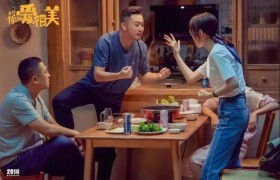 沙溢张嘉益主演的《对你的爱很美》好看吗口碑评价如何