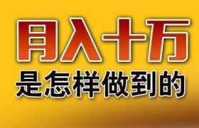网上那些月入十万的是怎么做到的，做什么可以做到月入十万？