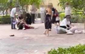 北京野生动物园内有动物效仿人类打斗是真的假的是怎么回事？