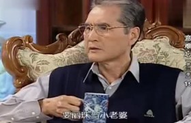 《意难忘》大结局了吗完结了吗停拍了吗，意难忘有多少季多少集？