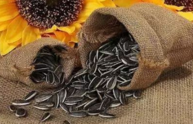 常吃葵花籽对身体有什么害处，每天吃多少瓜子合适不算多