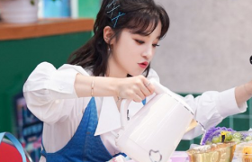 请吃饭的姐姐宋雨琦当飞行嘉宾是哪一期播出有什么看点？