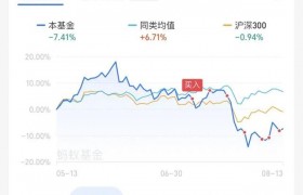 有人买基金一年赚20万这可能吗？是不是真的基金怎么买菜赚钱？