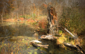 曼查克沼泽地最危险的沼泽地图片，曼查克沼泽地在哪个地方