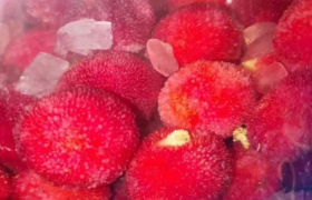 用杨梅泡酒发现有虫子是怎么回事还能喝吗？