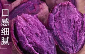 多吃紫薯有什么好处与功效？可以长期吃紫薯吗？