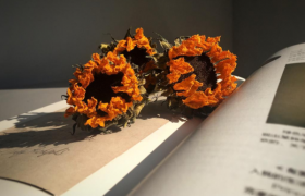 真花做成干花最简单的方法步骤，干花怎么做怎么保存