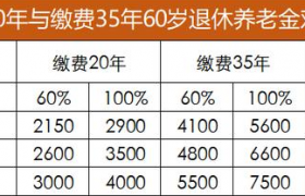 45岁男性交了20年的社保，如果停交合适退休能领到多少退休金