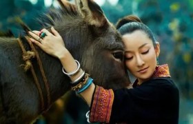 周鹏和萨顶顶是一个人吗?萨顶顶不承认自己是周鹏是啥原因？