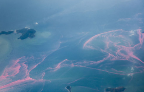 赤潮是什么意思是怎么形成的？赤潮是由哪种藻类引起的呢