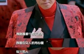 芳心纵火犯是啥意思啥梗出自哪里，和撒贝宁有啥关系？