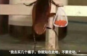 我去给你买几个橘子是什么意思什么梗出自哪里是褒义还是贬义？