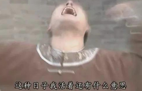 发疯文学是什么意思什么梗出处是哪里，如何看待发疯文学