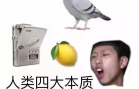 网络用语复读机、真香、鸽子精、柠檬精是什么意思啥梗？