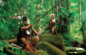 亚马逊河到底有多恐怖?亚马逊雨林有野人居住吗?