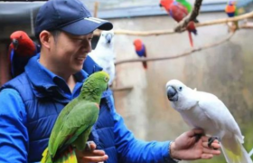 鹦鹉说话的原理是什么？鹦鹉为什么会学人说话？