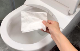 现在的卫生纸会不会堵马桶？哪些东西最好不要扔到马桶会容易堵