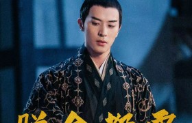 《斛珠夫人》帝旭和缇兰有没有圆房后来有没有小孩最后的结局如何？