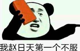 叶良辰和赵日天是什么梗是什么意思代表什么含义出自哪里？