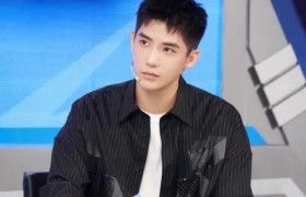 王安宇个人资料简介是哪里人哪个学校的，王安宇现状如何？