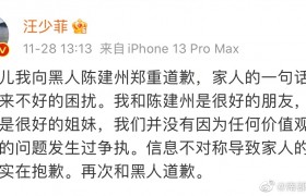 汪小菲曾经被黑人打是真的吗？汪小菲为什么要给陈建州道歉？