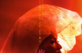 江志强是谁？江志强为什么拍电影《梅艳芳》和梅艳芳是什么关系？