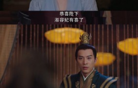 《斛珠夫人》缇兰哪集怀孕了？缇兰和紫簪是同一个人吗？