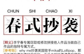 李宇春歌曲《无价之姐》抄袭的是哪个歌手的哪首歌是真的吗？