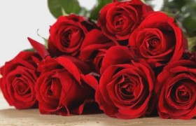 玫瑰情人节是哪一天具体的日期是几月几号有什么特别的意义吗