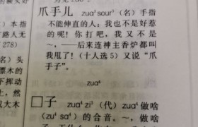 四川方言做啥子嘛zhua子嘛抓子嘛是什么意思什么含义！