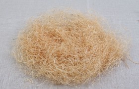 拉菲草是什么东西产自哪里很贵吗要多少钱？