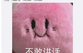 恋爱脑是啥意思啥梗出处是哪里？是褒义词还是贬义词？