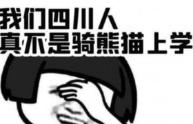 地域黑是啥意思啥梗出处是哪里有什么特殊含义是褒义还是贬义