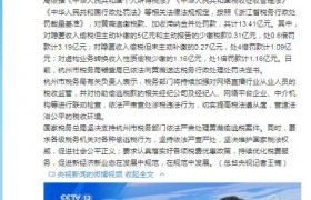 薇娅真名叫什么？薇娅真正的年收入是多少个亿？