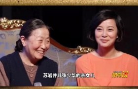 苏岩和张少华是什么关系？是母女关系吗？