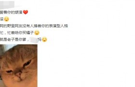 买橘子是什么意思什么梗出自哪里是褒义词是贬义词？