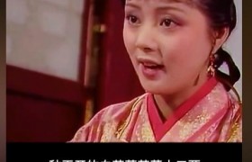 红楼梦里的冷香丸是什么东西配方是什么，有什么作用？