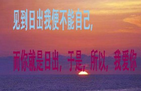 “见到日出我便不能自己”的下一句怎么回复原文出自哪里？